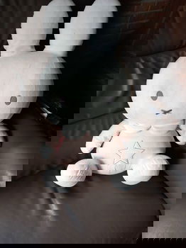Nijntje - 2
