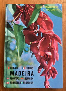 Madeira plants and flowers - Franquinho, Da Costa