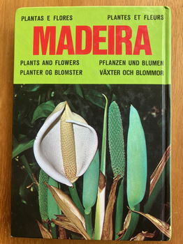 Madeira plants and flowers - Franquinho, Da Costa - 1