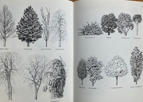 The Gardner's Book of Trees - Alan Mitchell - 3