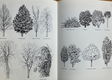 The Gardner's Book of Trees - Alan Mitchell - 3 - Thumbnail
