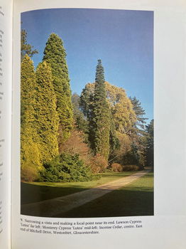 The Gardner's Book of Trees - Alan Mitchell - 6