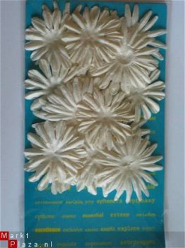 prima marketing E-line flowers white - 1