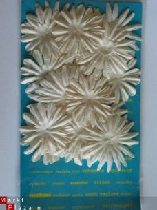 prima marketing E-line flowers white