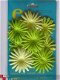 prima marketing E-line flowers green - 1 - Thumbnail