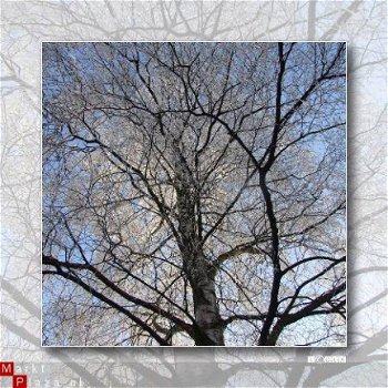 kaart winter_10 - 1