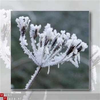 kaart winter_01 - 1