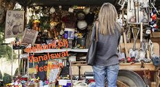 Vanalswat festein